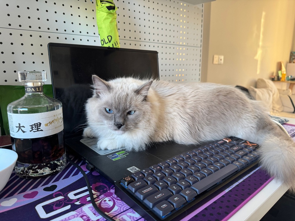 此图片的 alt 属性为空;文件名为 6A254099-DD43-46FD-8553-2CC013D247A9_1_105_c.jpeg